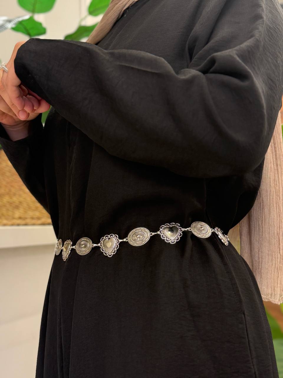 Stainless Steel Belt